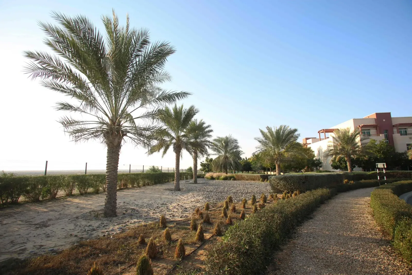 Al Ghadeer: project gallery image 8