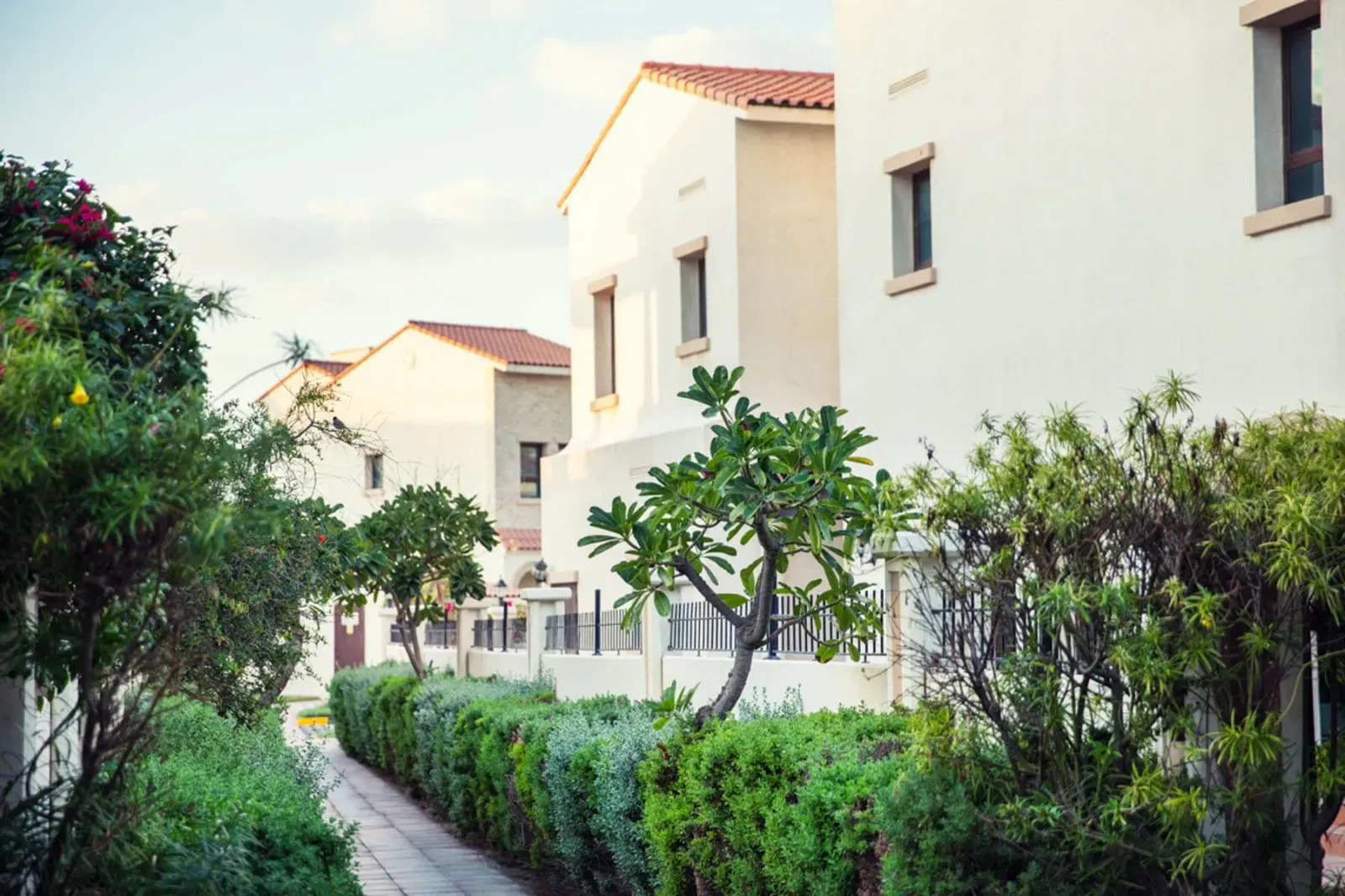 Bloom Gardens Phase 3: project gallery image 6