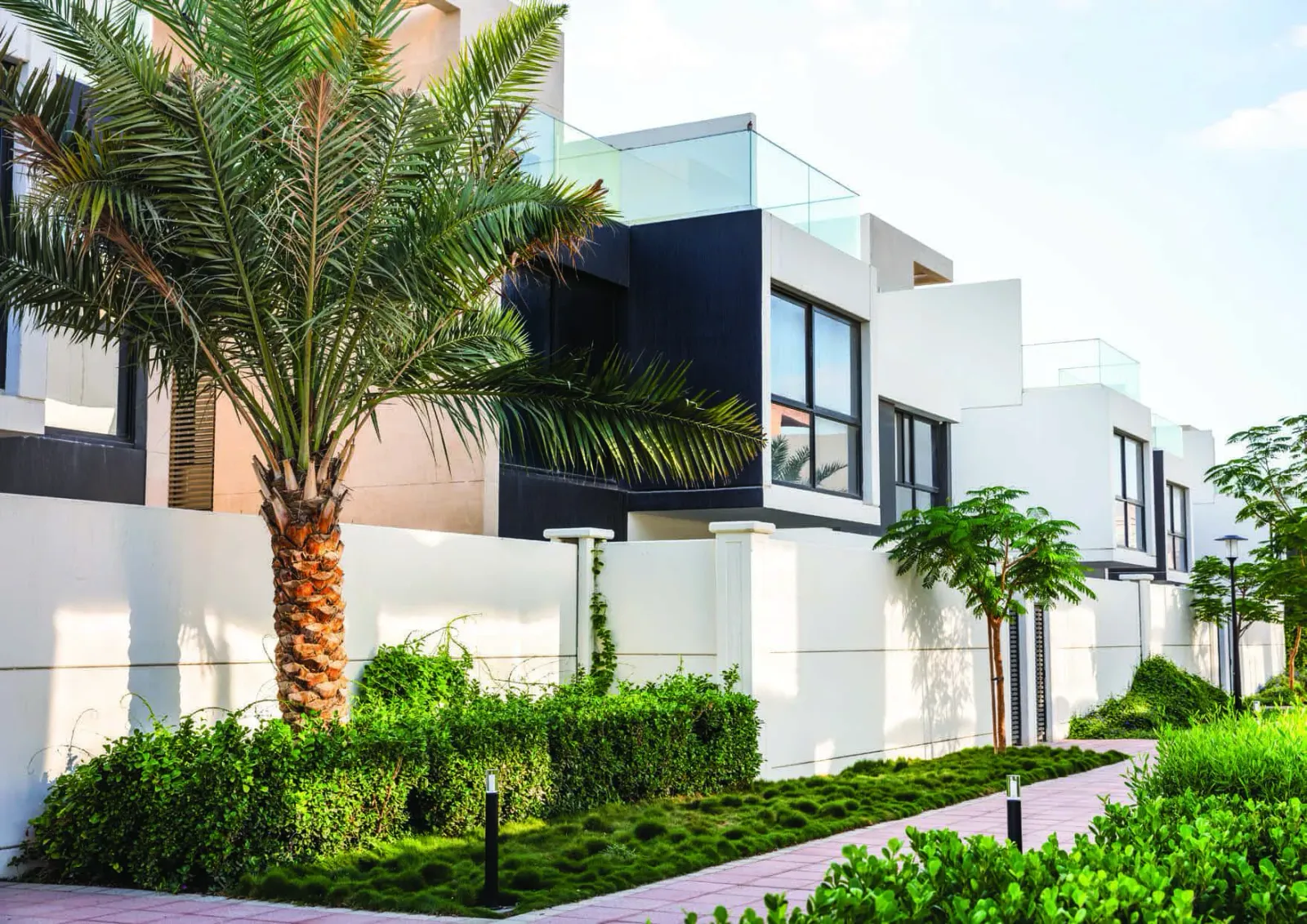 Bloom Marina: project gallery image 1