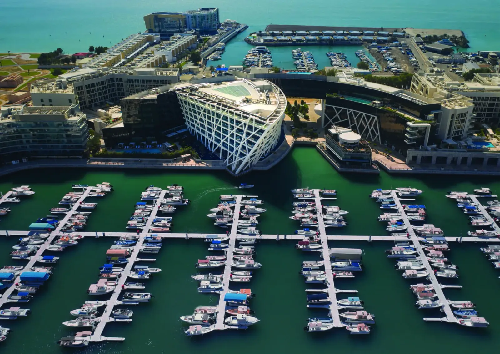Bloom Marina: project gallery image 3