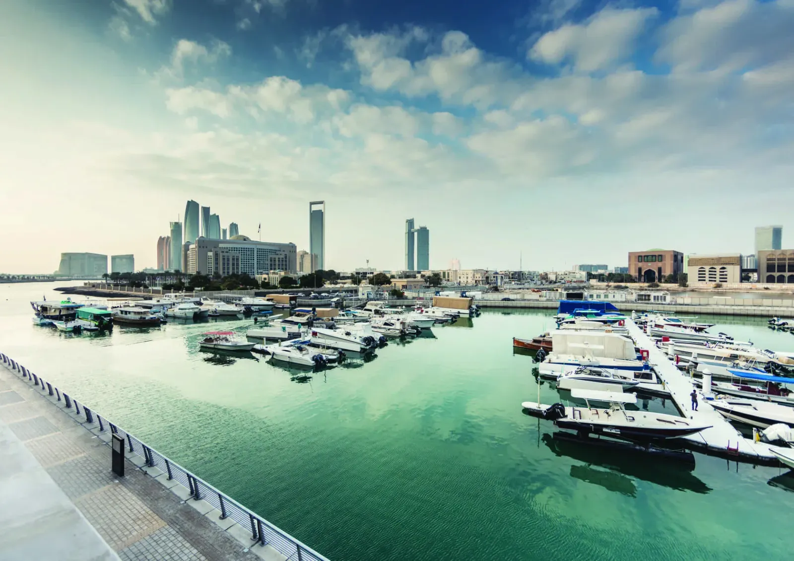 Bloom Marina: project gallery image 4