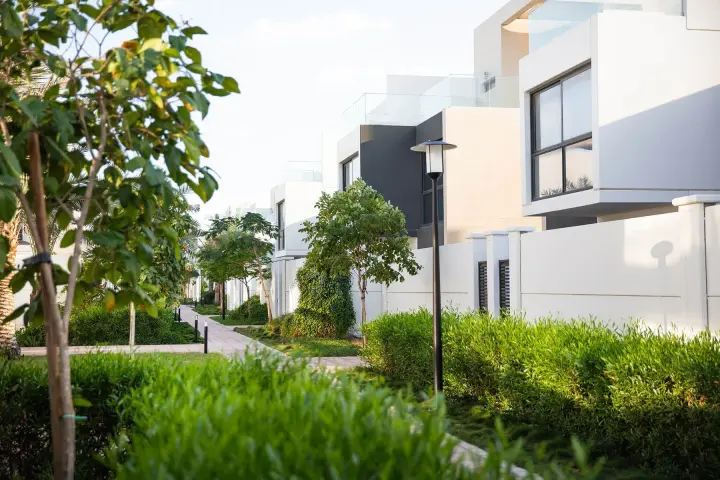 Faya: developer project imagery