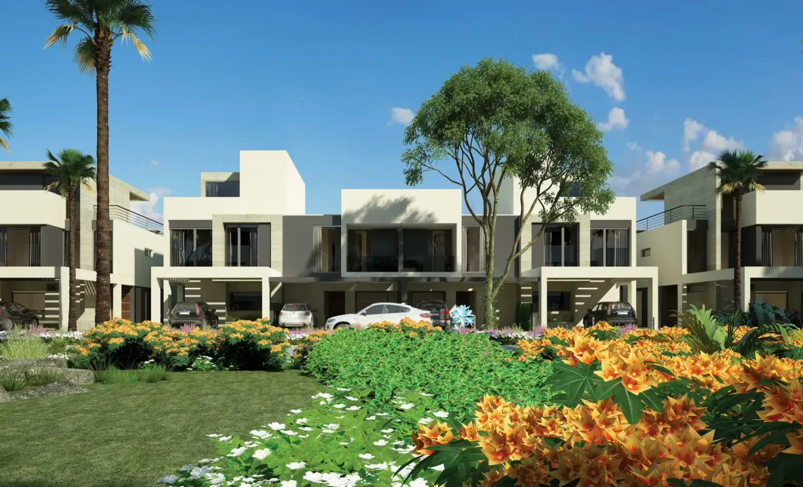FAYA: project gallery image 5