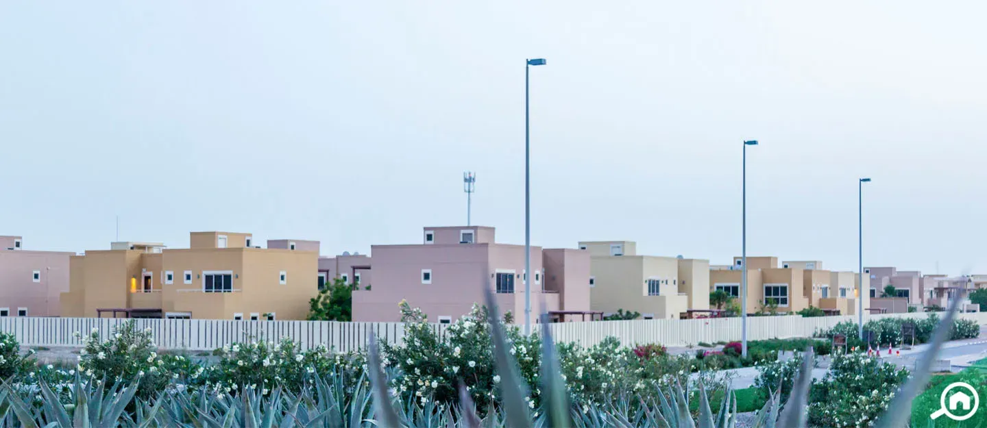 Lailak: project gallery image 2
