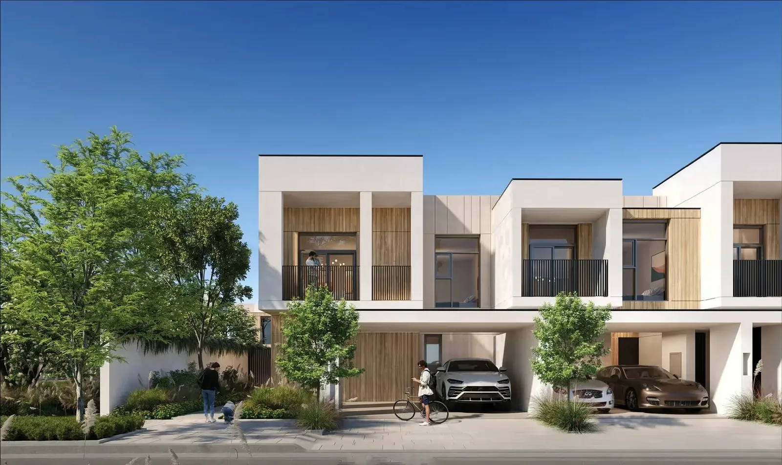 Raya: project gallery image 3