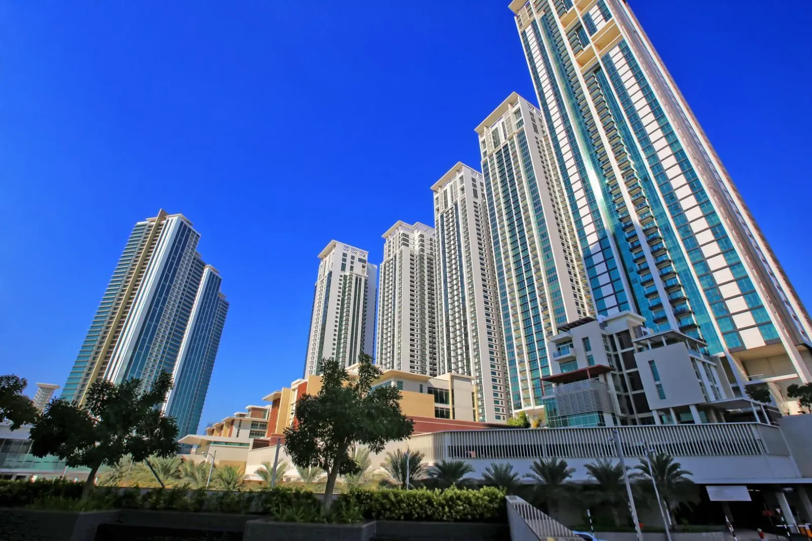 Tamouh Tower: project gallery image 2